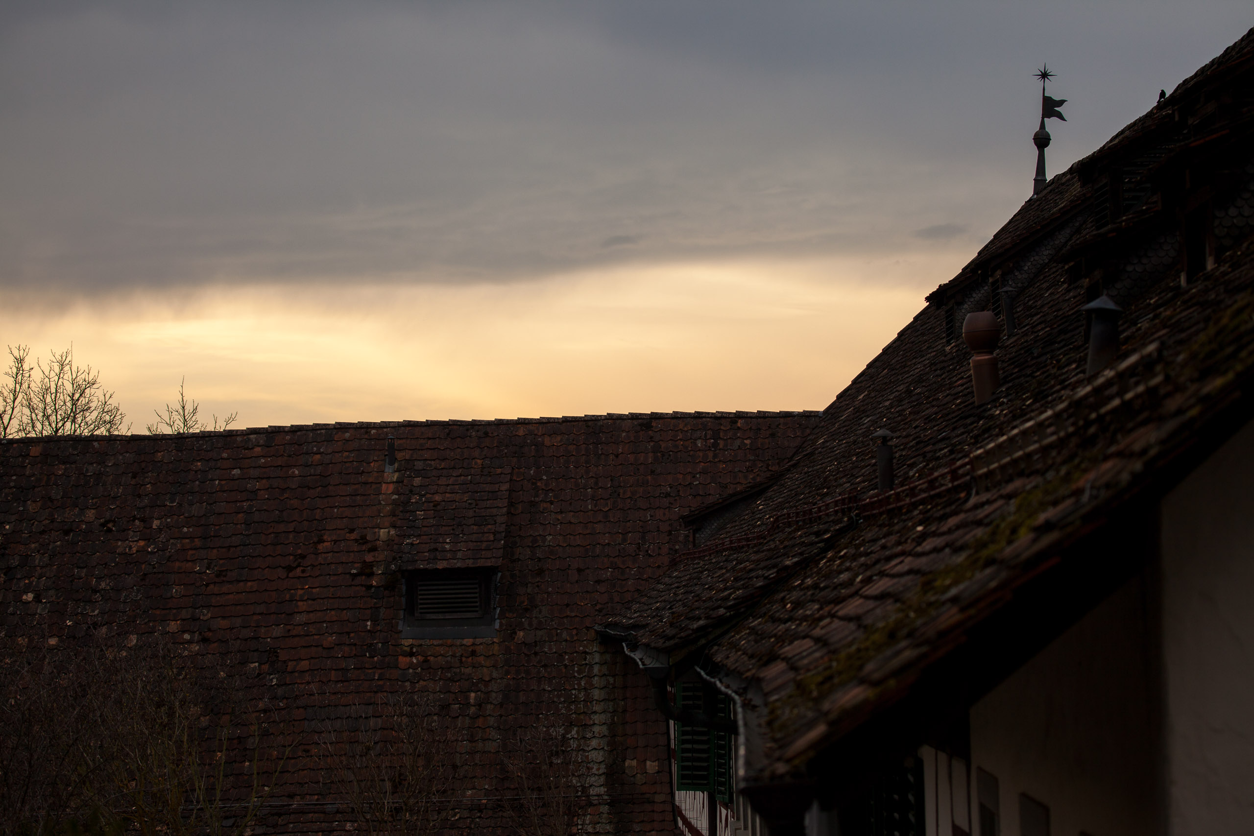 20110313133717 IMG 7276